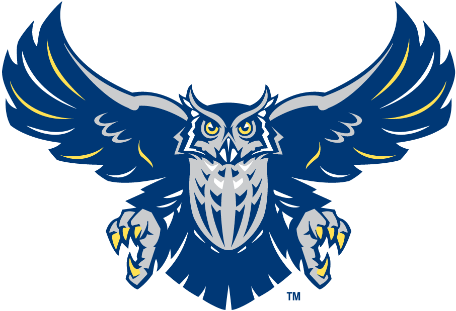 Rice Owls 2003-2009 Alternate Logo v3 diy iron on heat transfer
